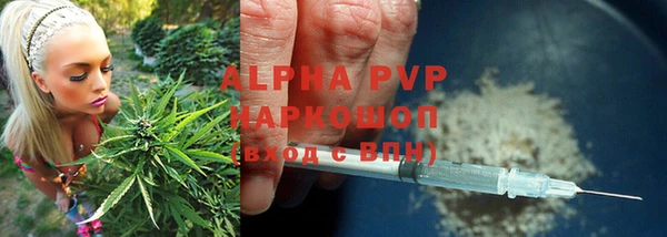 мяу мяу мука Алзамай