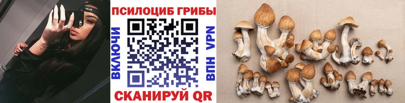 где купить наркоту  гидра онион  Галлюциногенные грибы мухоморы  Тамбов 