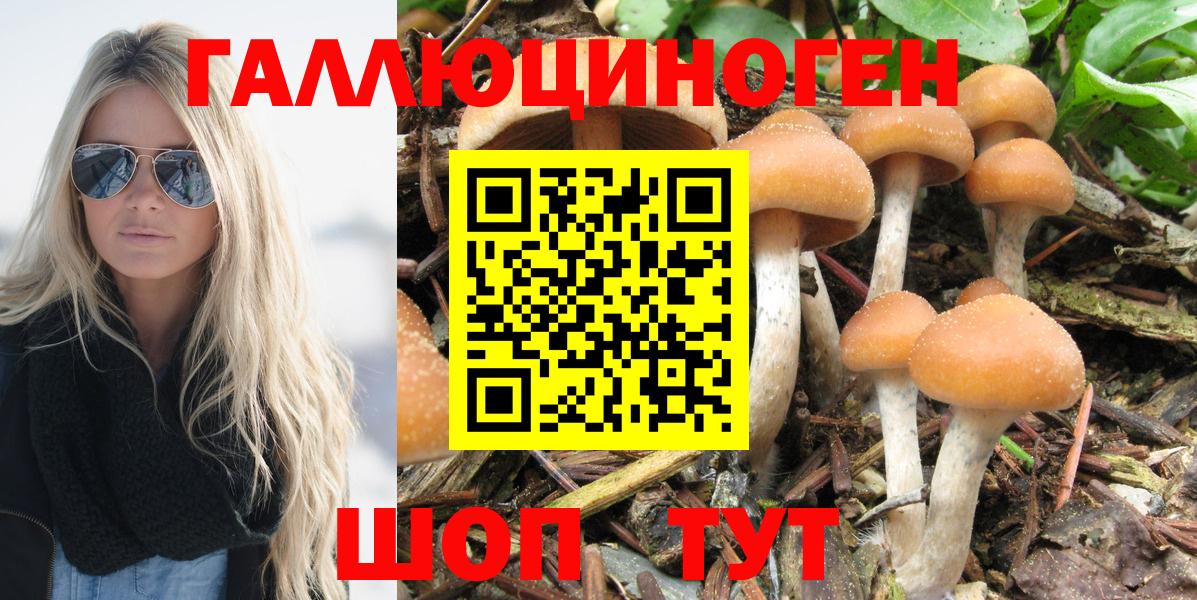 Галлюциногенные грибы GOLDEN TEACHER Тамбов