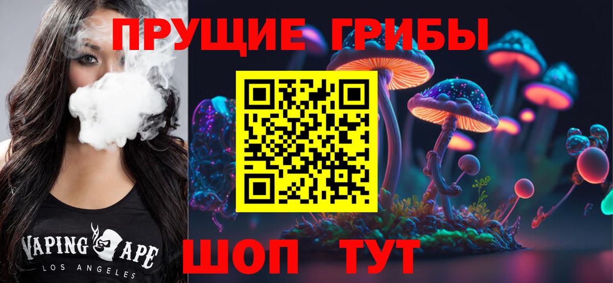 Галлюциногенные грибы Magic Shrooms  закладка  Вход с VPN  Тамбов  Псилоцибиновые грибы Psilocybe 